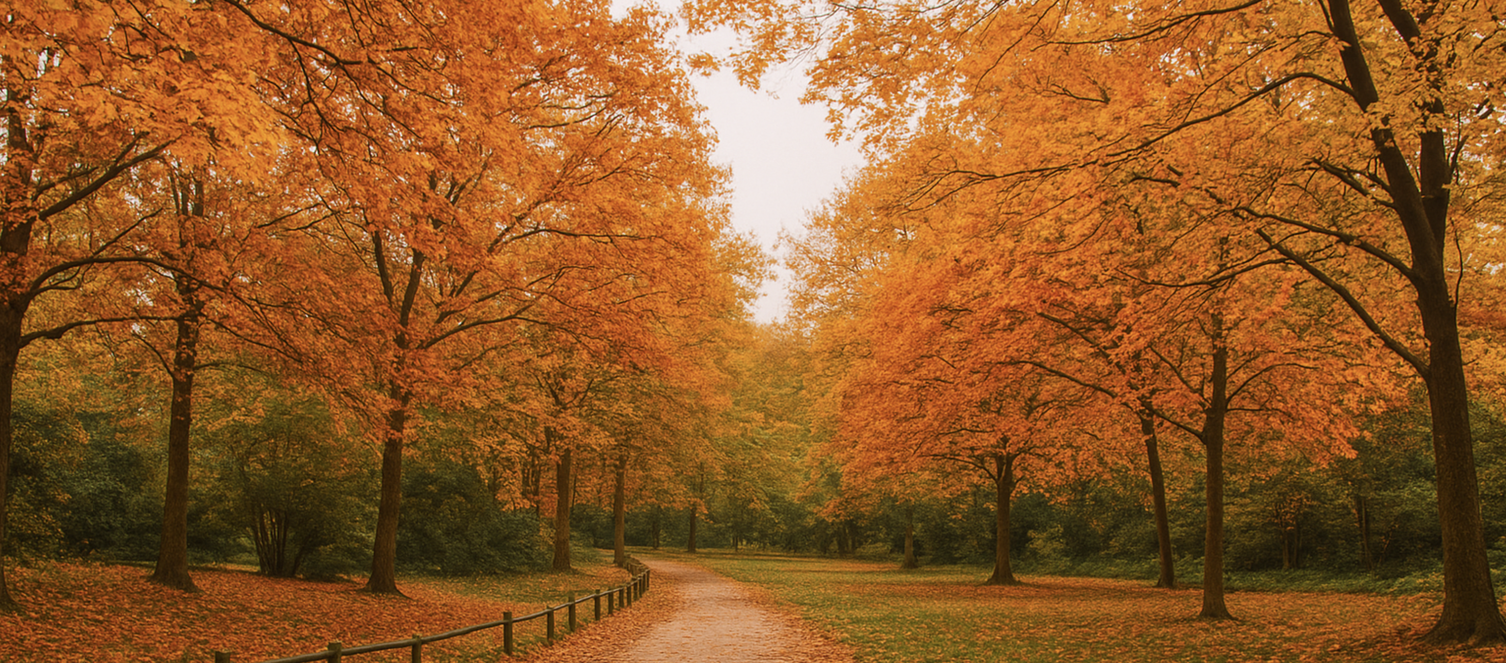 fotografía en otono
